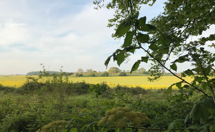 Historic England: North Norfok conservation areas at&nbsp;risk